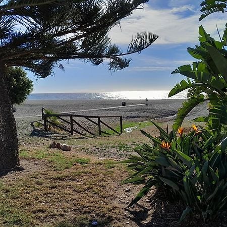 Benajarafe villa near beach Exteriör bild